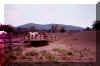 Kissing Rock.JPG (36896 bytes)