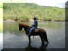 Crossing Big South Fork River Apr 01.jpg (157418 bytes)